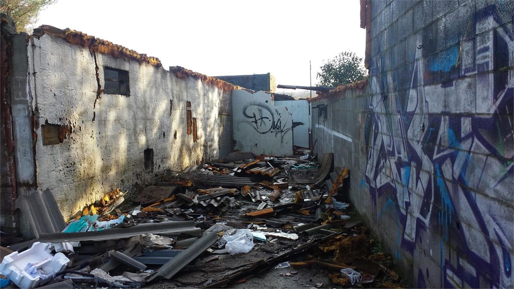 Foto 6 Limpieza y demolición de Parcela en Pereiro de Aguiar - Ourense