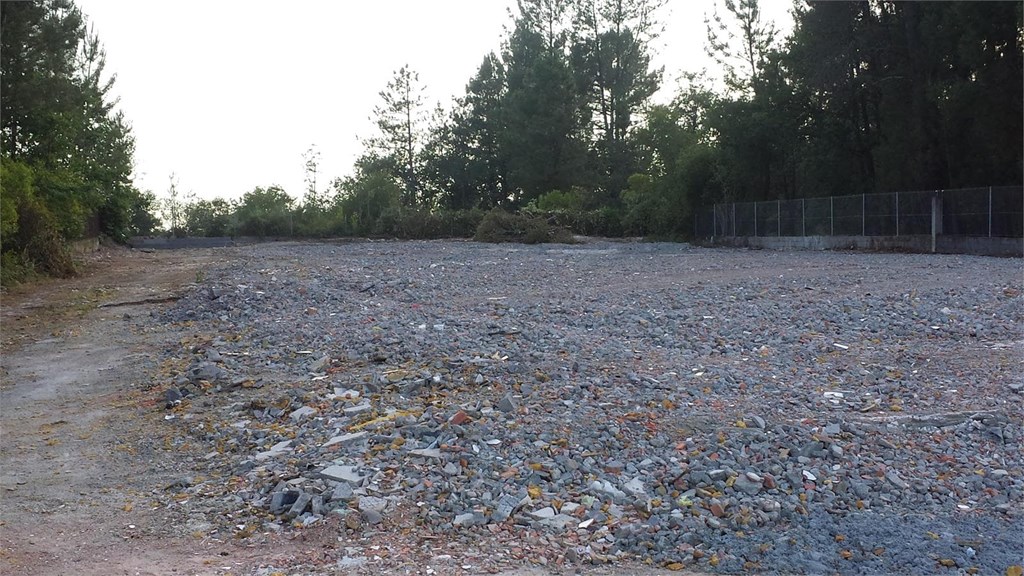 Foto 8 Limpieza y demolición de Parcela en Pereiro de Aguiar - Ourense